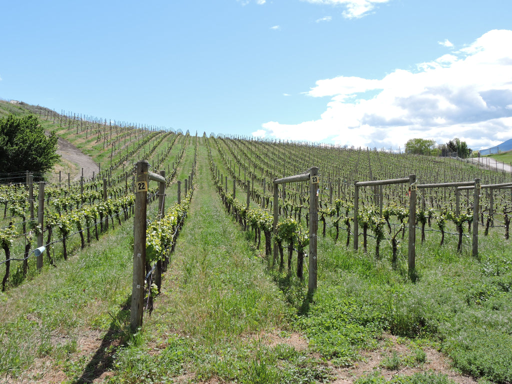 We are open by appointment for sales and tastings.