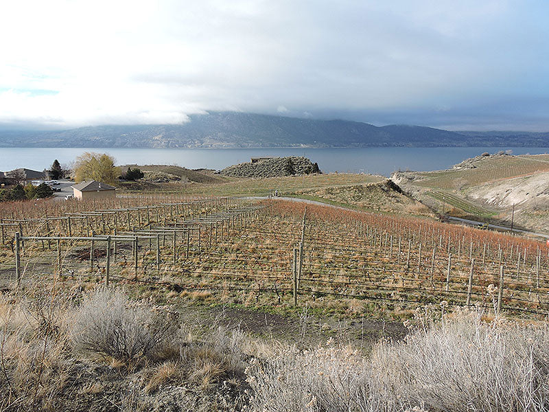 Supporting BC Business – Howling Bluff Estate Winery