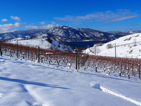 This fall/winter was again “new” for us here at Howling Bluff – Howling ...